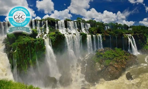 Solicitud de Donación