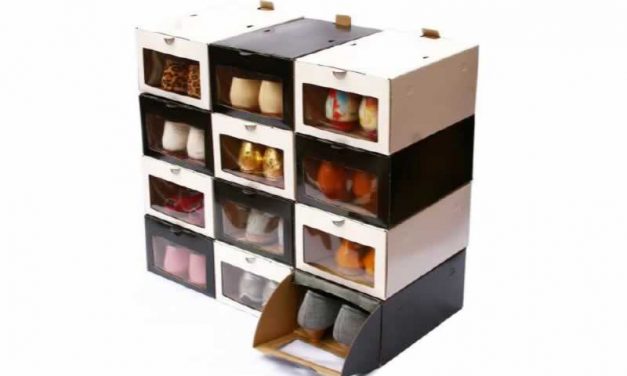 CHARLA INFORMATIVA SOBRE ENVASES Y PACKAGING PARA CALZADO