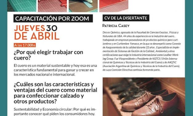 Capacitación por ZOOM – ¿Porqué elegir trabajar con cuero?